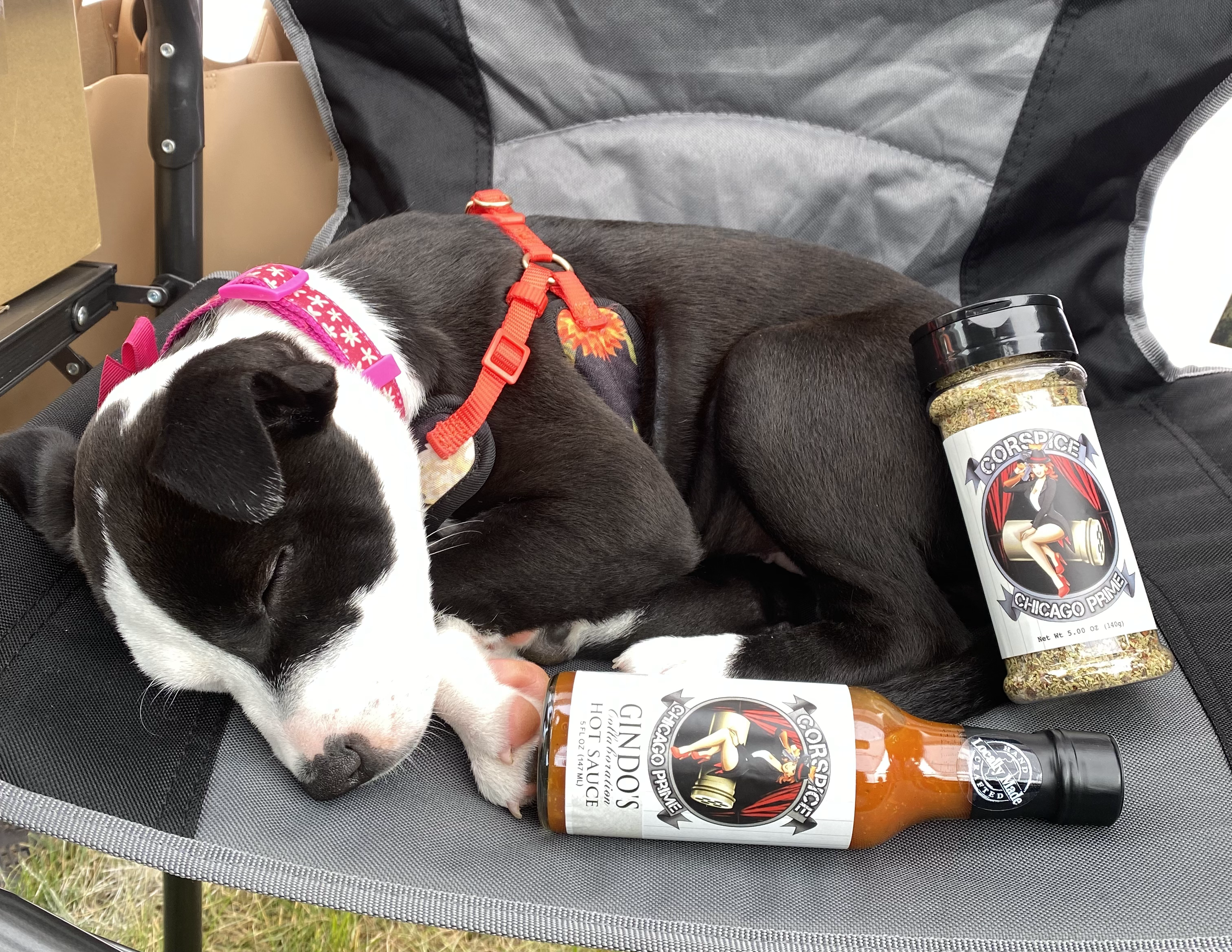 K9 for Vets Chicago Prime Hot Sauce